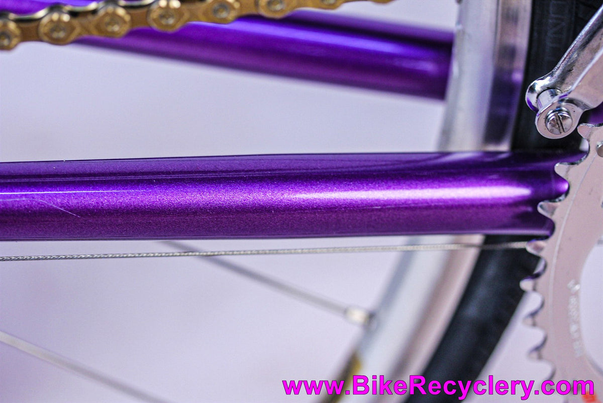 1992 Spectrum Cycles / Tom Kellogg Road Bike: 64cm x 59cm - NEW Joe Bell Resto & NOS Parts - PURPLE & White -  Record / DA 10sp - Henry James Dogbone