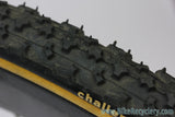 1990's ZIPP 404 Tubular Carbon Wheelset: 18/24H - Hershey Naked / Dura Ace 7700 / Challenge Limus - Yellow/green Decals (Near Mint+)