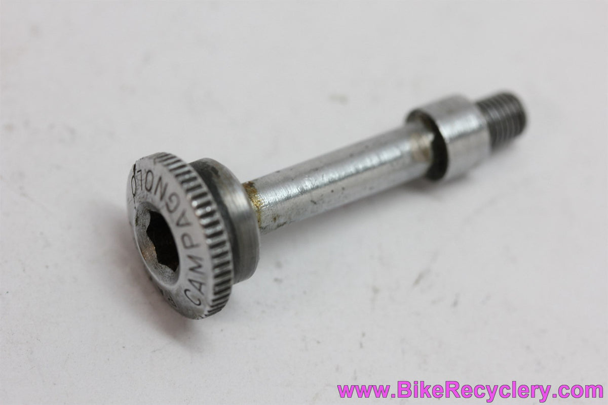 Campagnolo Nuovo Record 811/A Lower Pivot Bolt: Steel (Near Mint)